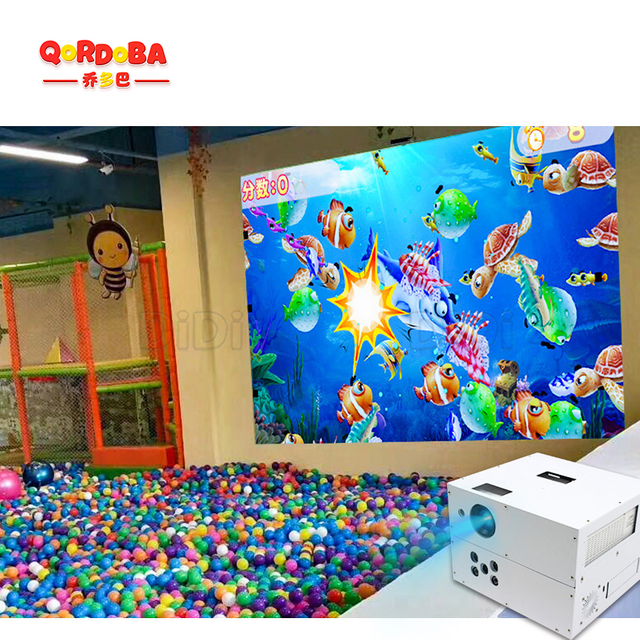 Interactive Projection-1