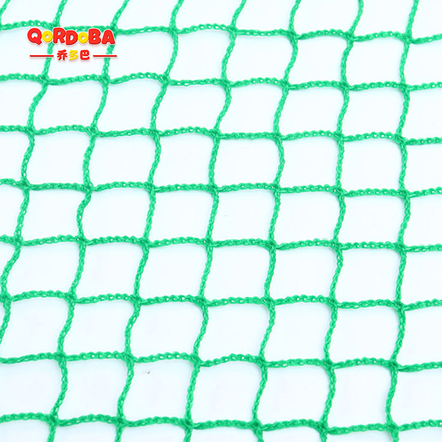 Rainbow Net