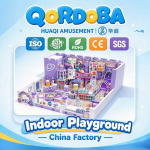 Customized Indoor Playground with Big Slides for Family Entertainment And Kids Fun